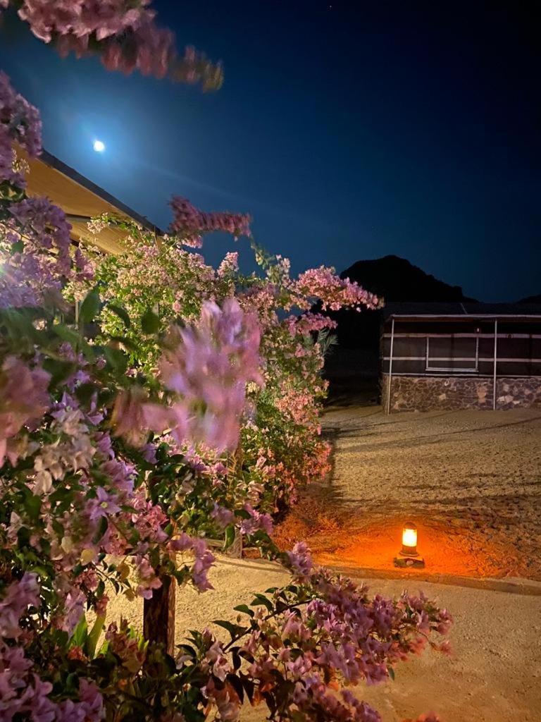 Moon Night Camp Wadi Rum Exterior foto